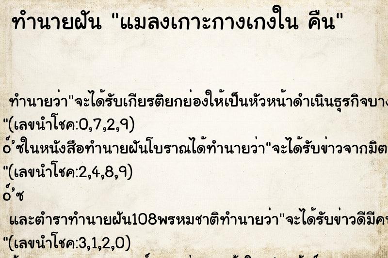 ทำนายฝัน แมลงเกาะกางเกงใน คืน